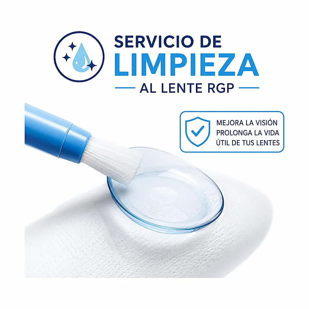 Limpieza Profesional y Modificación de Característica